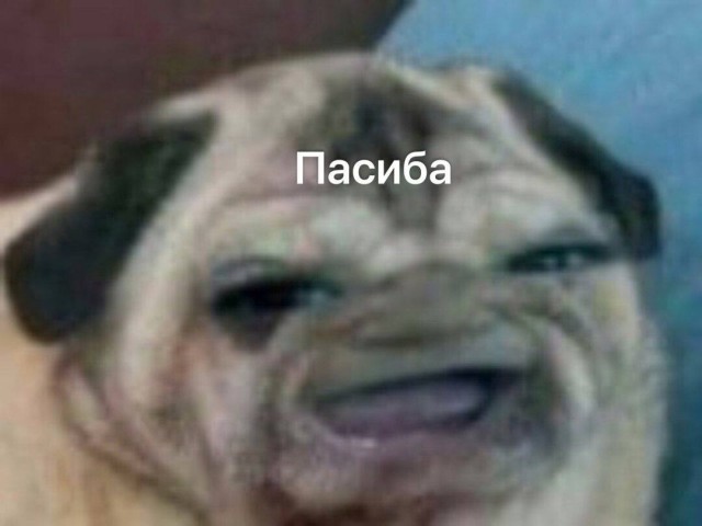 У парня случился микроинсульт из-за истерики его девушки