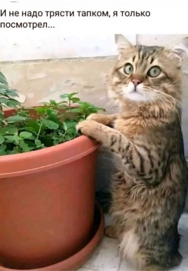 Вторника картинки