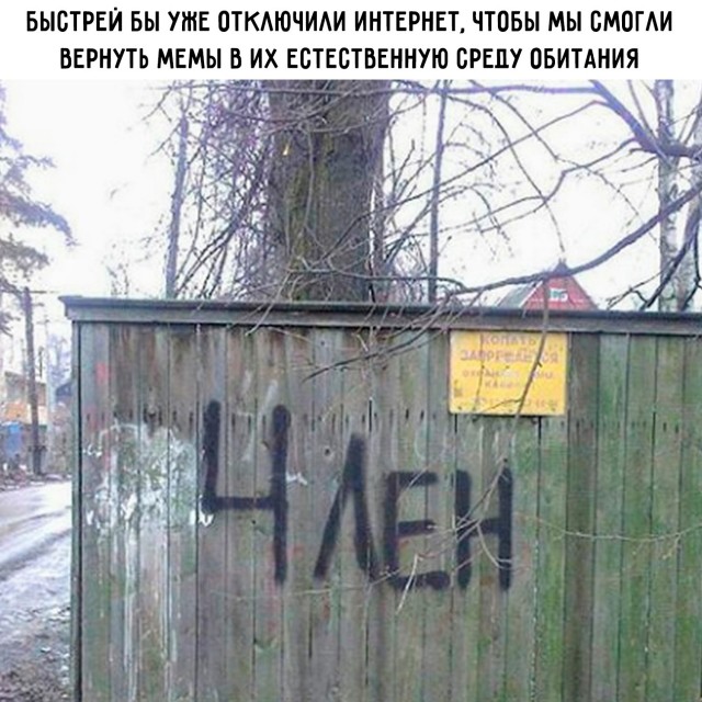 Картинки для деградации 195 (разной степени свежести)