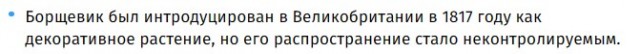 Пойдем, убъем борщевика