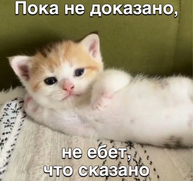 Веселое настроение в картинках 16.08.26
