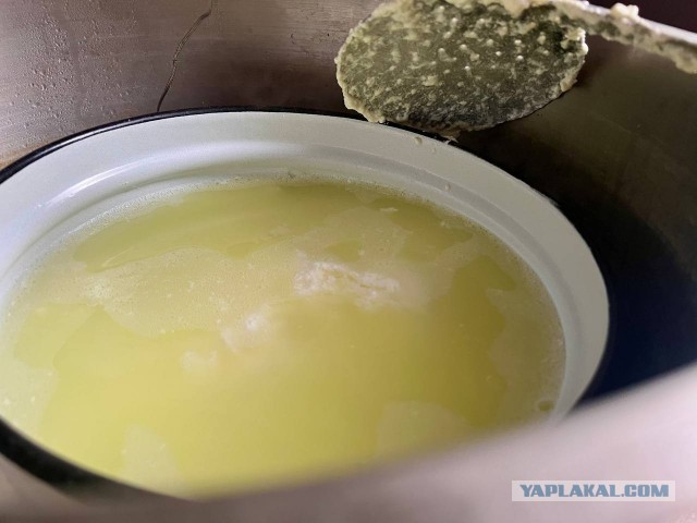 Адыгейский сыр (без сыворотки)