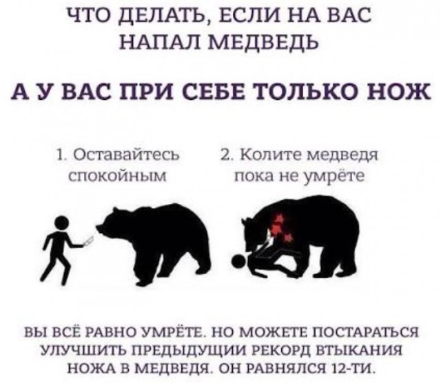 Медведь убил двух сборщиков ягод в Иркутской области