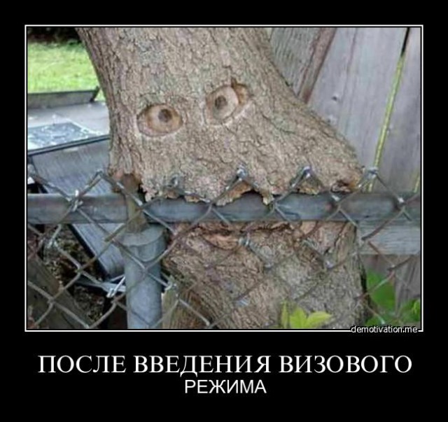 "смелые грузины"