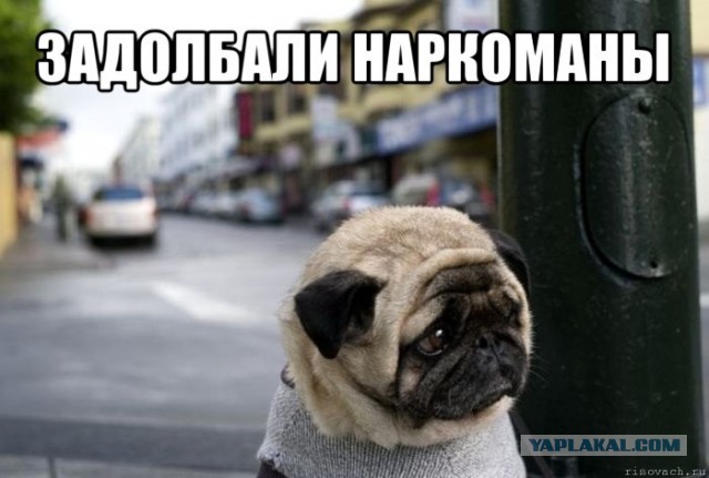 Пердуны, привыкайте к новым правилам