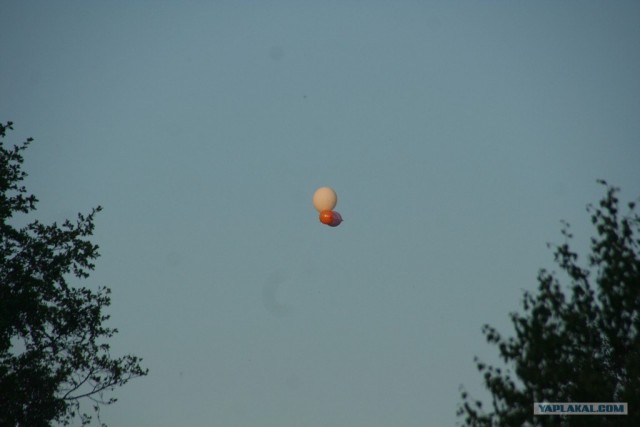 Пустые холмы 2011