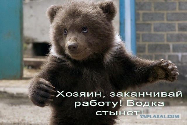 Картинки, вроде смешные.
