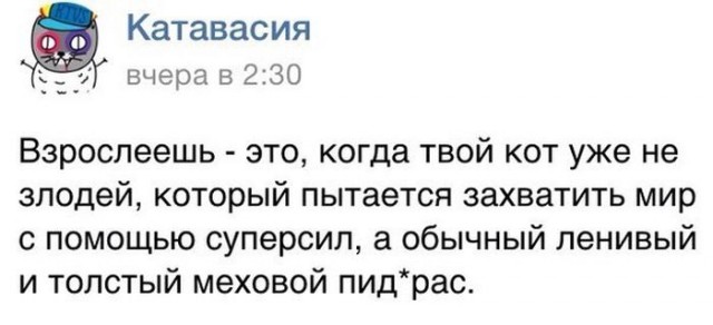 Смешные комментарии из социальных сетей