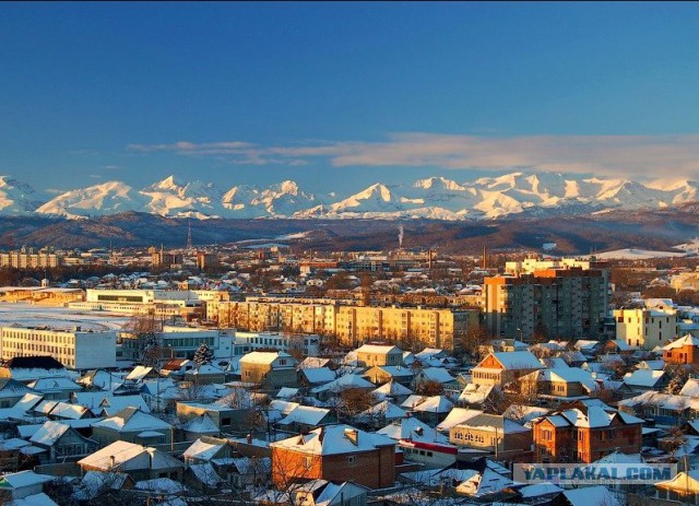 Хочу в Россию.
