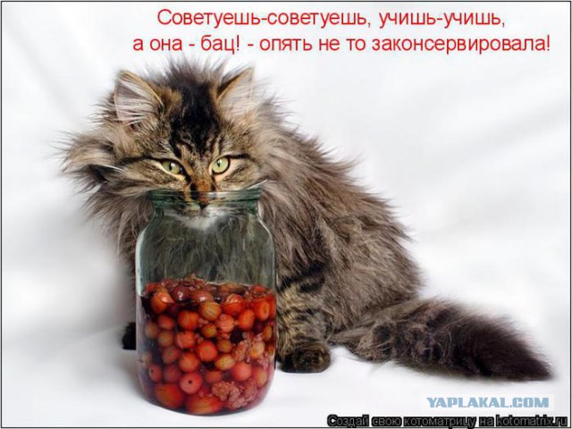 Все пропало, все пропало...