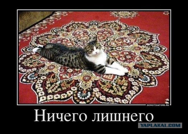 Давно демотиваторов не было