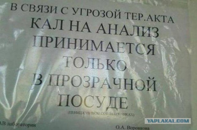 Веселости которые встретились сегодня