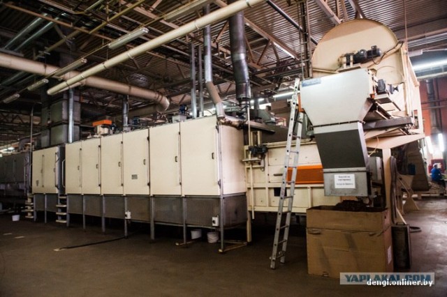 Как в Беларуси делают сигареты: репортаж