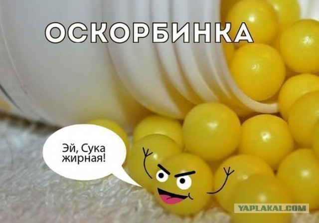 Веселые картинки
