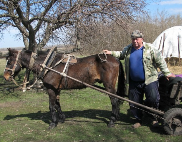 Мавр и Лайма