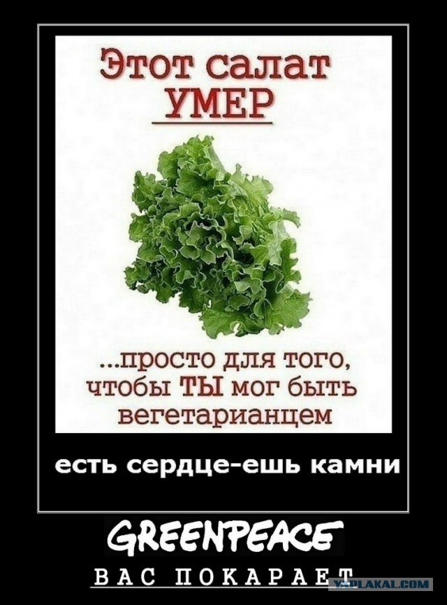 Веганы против мясоедов