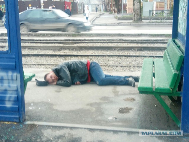 Пляж в городе Окленд, Новая Зеландия