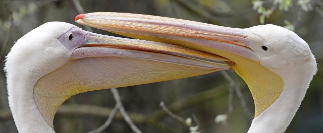 Эти глаза напротив. Калейдоскоп.