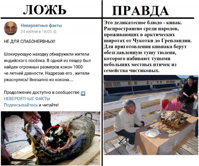 В интернете могут врать?