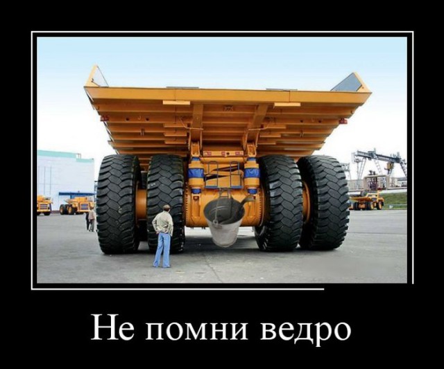 Картинки и приколы из сети