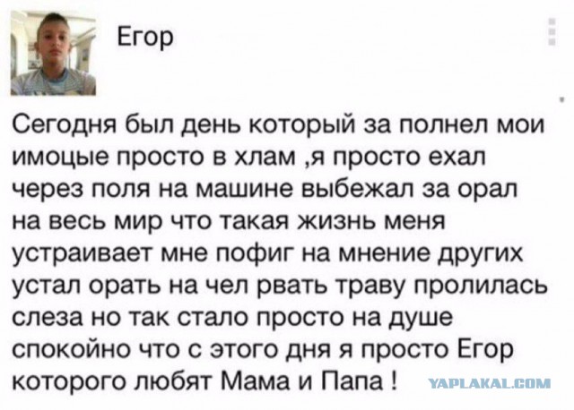 Картинки и приколы из сети, для поднятия настроения=)
