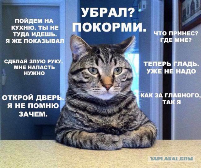 Когда бесишь сам себя