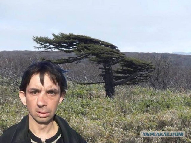 Последствия сильного ветра