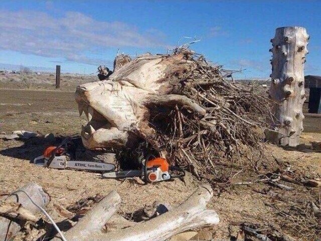 Немного картинок