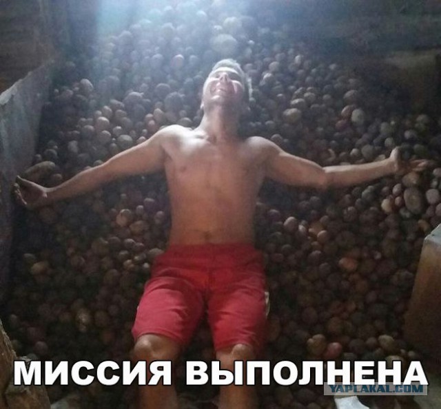 Фотки из инета