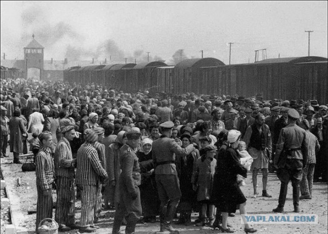 День Национального траура в Германии. Школьник из ЯНАО рассказал в бундестаге о «невинных солдатах вермахта»