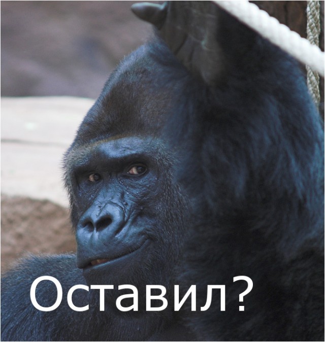 Фотокомикс: А куда ушла жена?