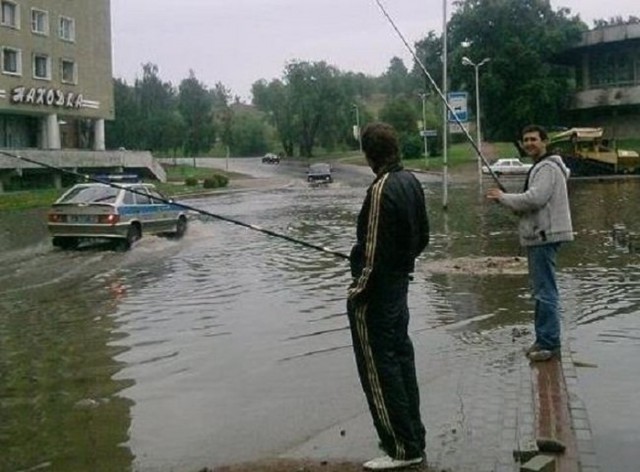 Картинки по-приколу