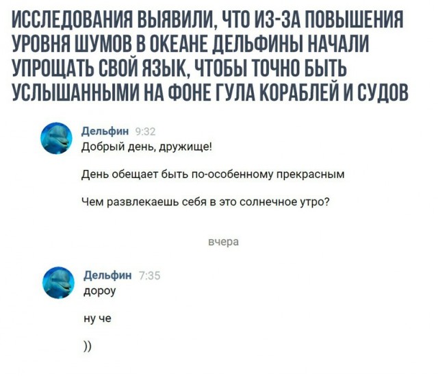 Немного картинок в эту среду
