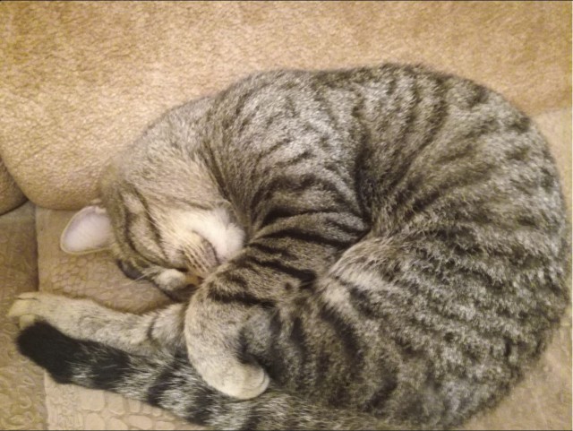Немного милоты