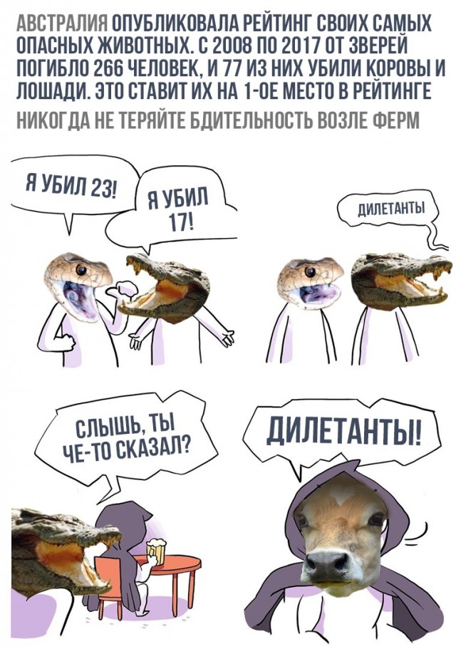 Снимки категории "Теперь ты видел всё" от 12.12.2018