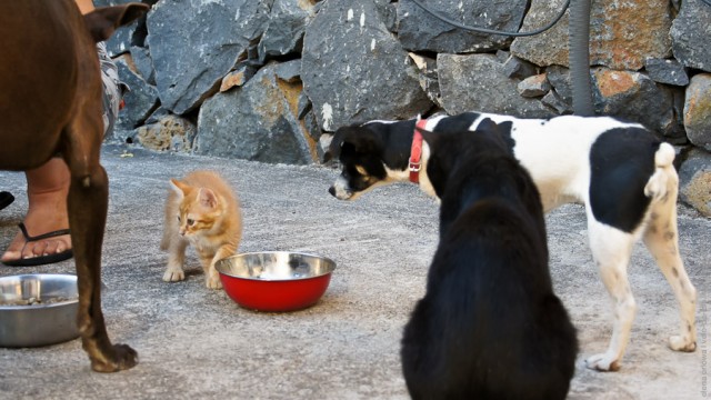 Один мой день. Самый первый!