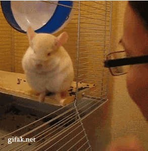 Ой... вы меня смущаете!