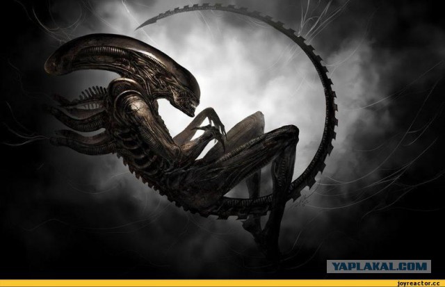 Вот это я понимаю - мастер пикапа 80-го уровня!