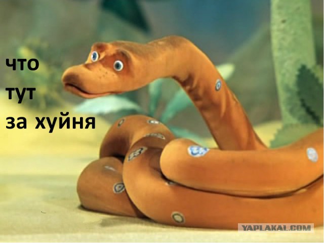В Бразилию больше ни ногой