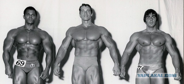 Карьера и личная жизнь Арнольда Шварценеггера в фотографиях