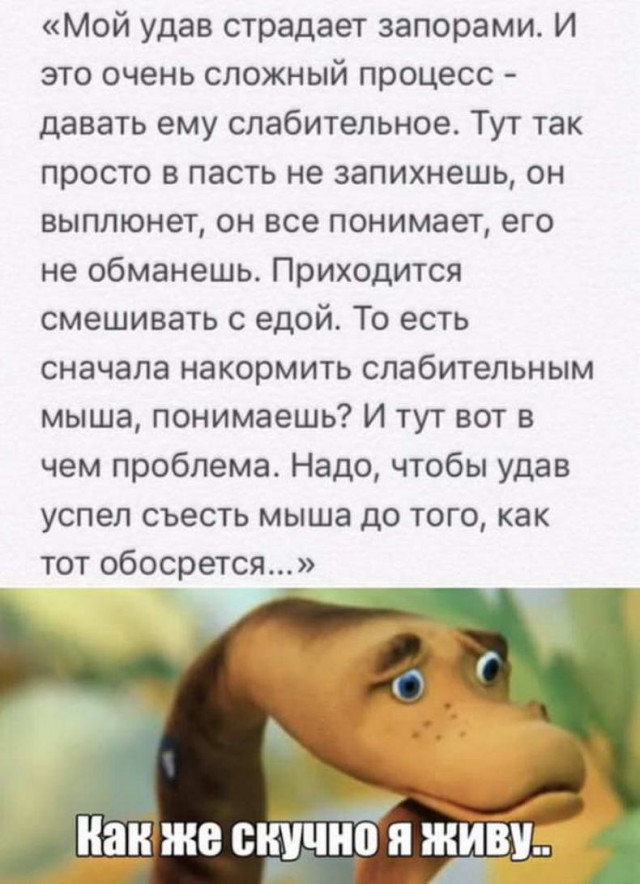 Не очень адекватный юмор