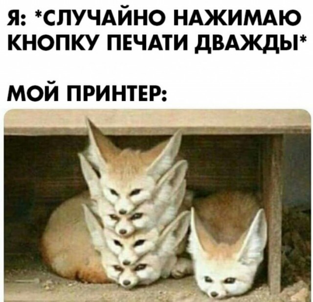 Немного картинок для настроения