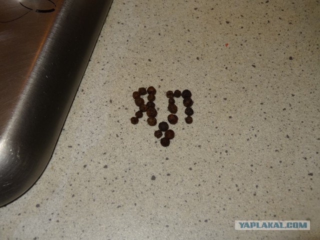 паштет из мозгов / кулинария