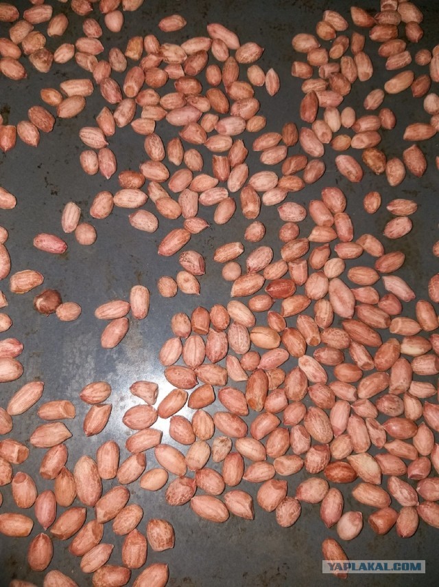 Давайте поговорим о приятном!Салат с брюссельской капустой, арахисом под горчичной заправкой