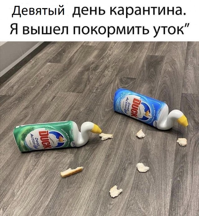 Пандемия. Коронавирус. Россия и мир. Последняя информация. Часть 12
