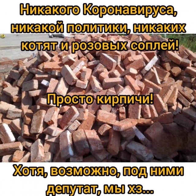 Федя, дичь!