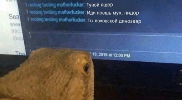 Юмор в картинках 17.08.20