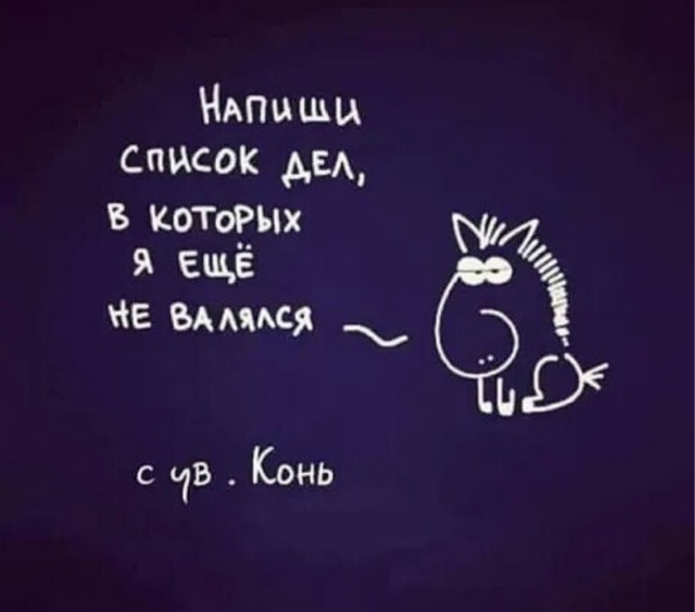 Фотки и картинки: юморные и красивые, забавные и милые 11.11.20