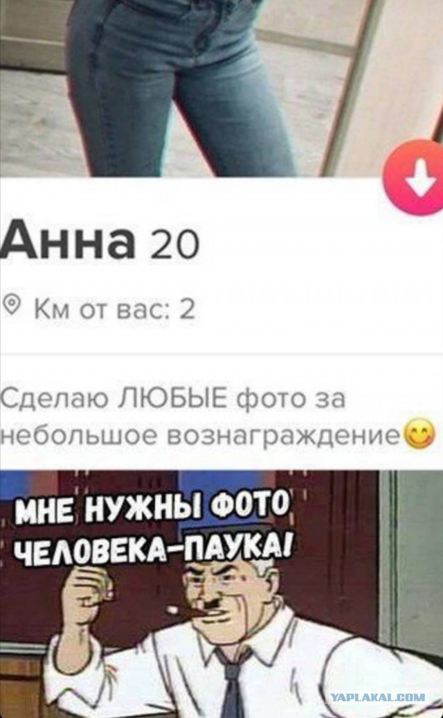 Фотки и картинки: юморные и красивые, забавные и милые 13.11.20