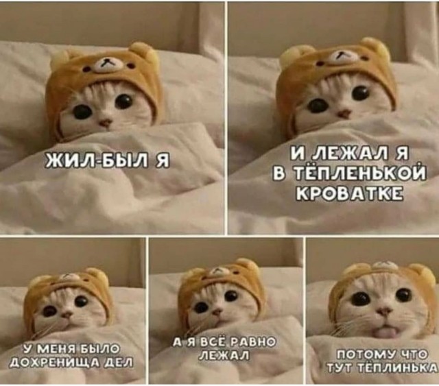Юмор в картинках 27.11.20